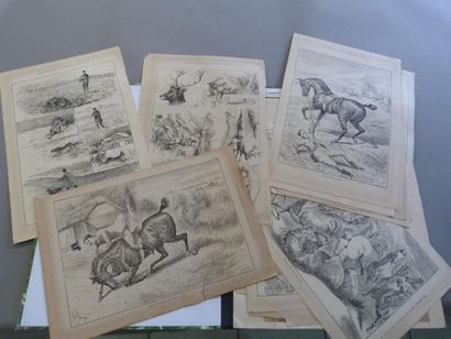 Lot d'impressions sur le thème de la chasse...