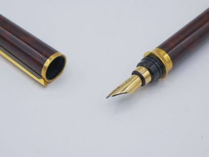 Style plume DUPONT en 