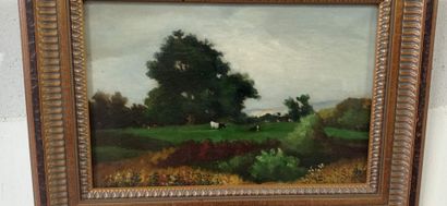 A. DUVAL (XIXème - XXème siècle)

