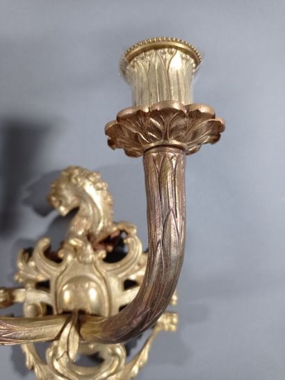 Paire d'appliques en bronze doré et ciselé...