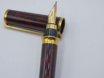 Style plume DUPONT en 
