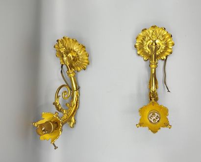Paire d'appliques en bronze doré à un bras...