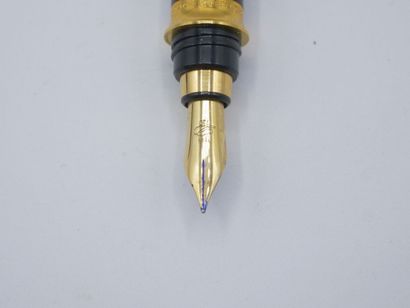Style plume DUPONT en 