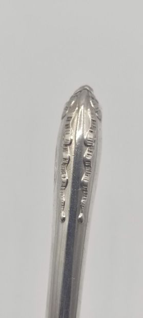 Sprinkling spoon entirely in silver (silver...