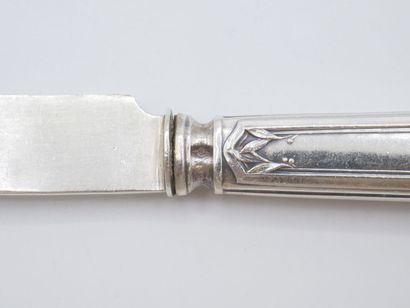 Triple set of knives (36) with silver handles...