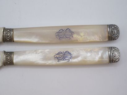 Service of 12 fruit knives with mother-of-pearl...