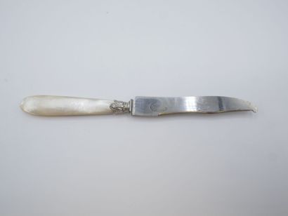 Service composed of its 16 knives with mother-of-pearl...
