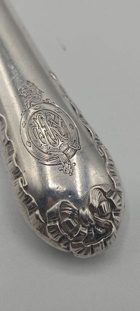 Sprinkling spoon entirely in silver (silver...