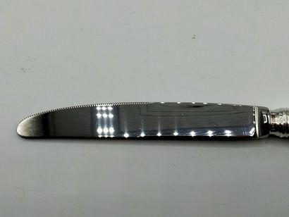 Complete set of table knives with silver...