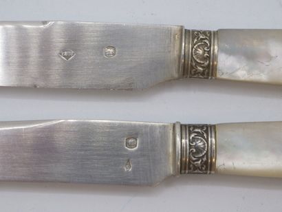 Service of 12 fruit knives with mother-of-pearl...