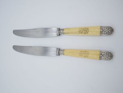 Double set of knives with figured handles....