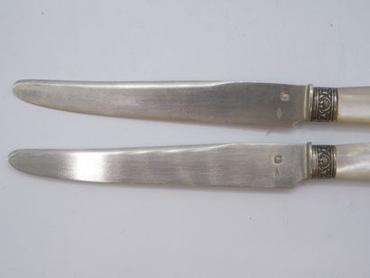 Service of 12 fruit knives with mother-of-pearl...