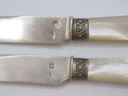 Service of 12 fruit knives with mother-of-pearl...