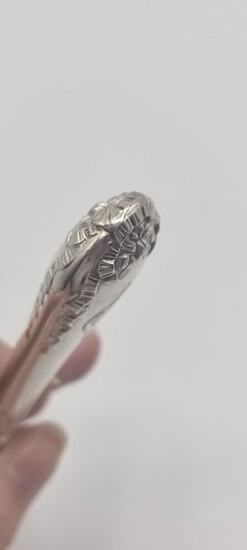 Sprinkling spoon entirely in silver (silver...