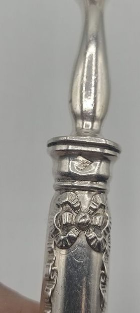 Sprinkling spoon entirely in silver (silver...