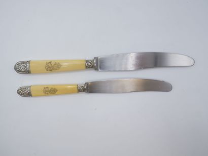 Double set of knives with figured handles....