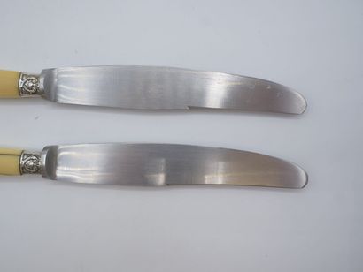 Double set of knives with figured handles....