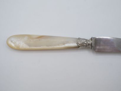 Service composed of its 16 knives with mother-of-pearl...