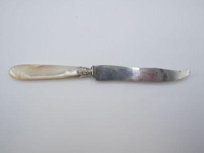 Service composed of its 16 knives with mother-of-pearl...