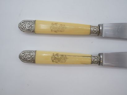 Double set of knives with figured handles....