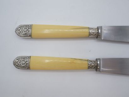 Double set of knives with figured handles....