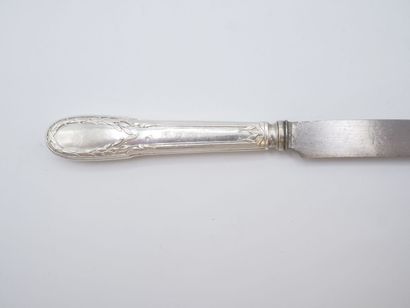 Triple set of knives (36) with silver handles...