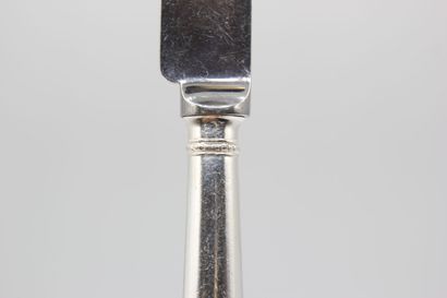 Double set of knives with silver handles...