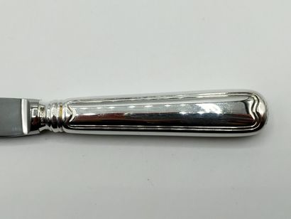 Complete set of table knives with silver...