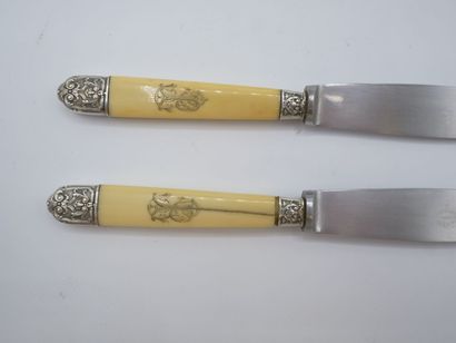 Double set of knives with figured handles....