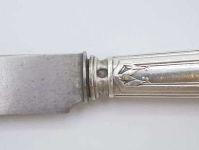 Triple set of knives (36) with silver handles...