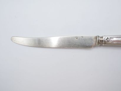 Triple set of knives (36) with silver handles...
