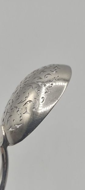 Sprinkling spoon entirely in silver (silver...