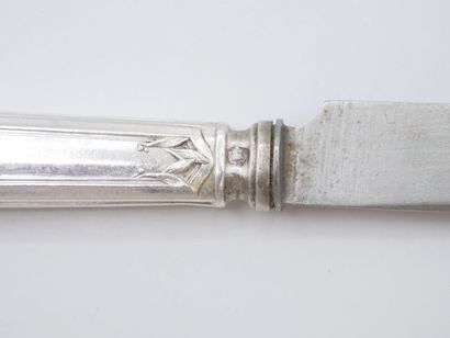 Triple set of knives (36) with silver handles...