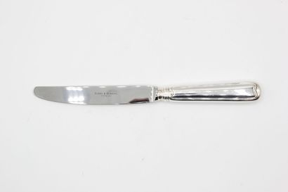 Complete set of table knives with silver...