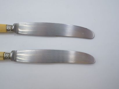Double set of knives with figured handles....