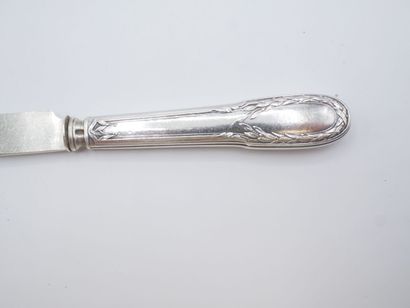 Triple set of knives (36) with silver handles...