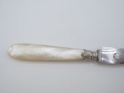 Service composed of its 16 knives with mother-of-pearl...
