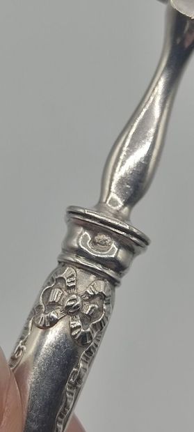 Sprinkling spoon entirely in silver (silver...