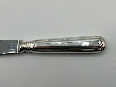 Complete set of table knives with silver...