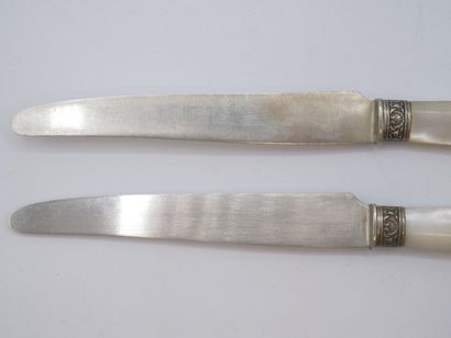 Service of 12 fruit knives with mother-of-pearl...