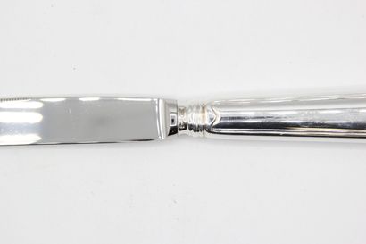 Complete set of table knives with silver...