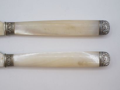 Service of 12 fruit knives with mother-of-pearl...