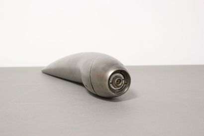 
Philippe STARCK designer




Torche officielle...