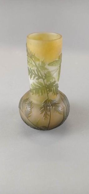 Émile GALLÉ (1846-1904).

Vase à long col...
