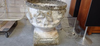 Vasque sur piédouche en pierre reconstituée.

Décor...