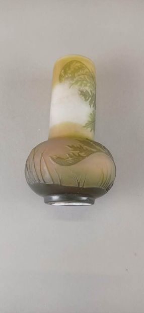 Émile GALLÉ (1846-1904).

Vase à long col...