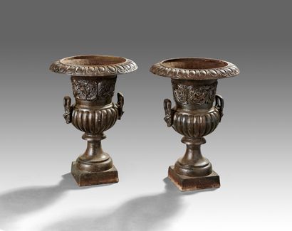 Pair of medicis basins in patinated cast...
