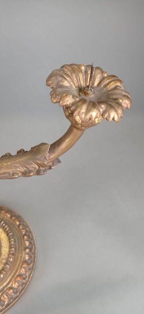 Pair of candlesticks with two arms of lights...