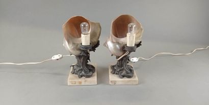 Paire de lampes veilleuses en bronze patiné...