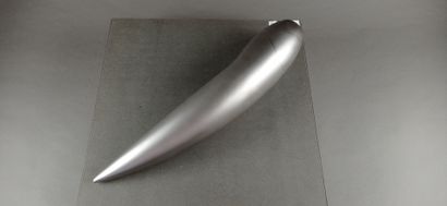 
Philippe STARCK designer




Torche officielle...